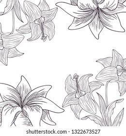 pattern plants and herbs isolated icon