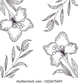 pattern plants and herbs isolated icon