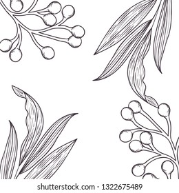 pattern plants and herbs isolated icon