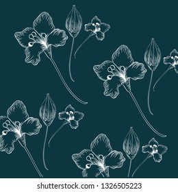 pattern plants and herbs isolated icon