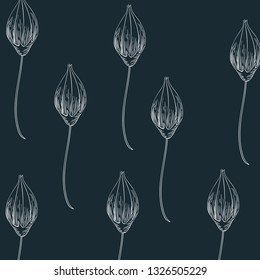 pattern plants and herbs isolated icon