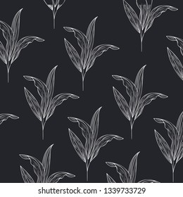 pattern plants and herbs isolated icon