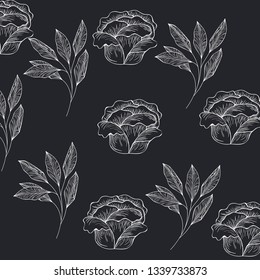 pattern plants and herbs isolated icon