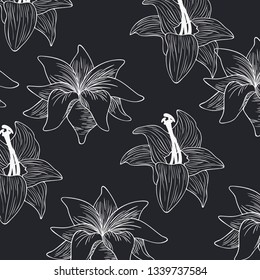 pattern plants and herbs isolated icon
