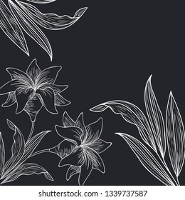 pattern plants and herbs isolated icon