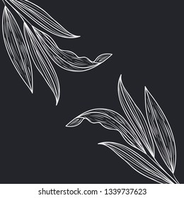 pattern plants and herbs isolated icon