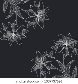 pattern plants and herbs isolated icon