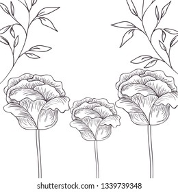 pattern plants and herbs isolated icon
