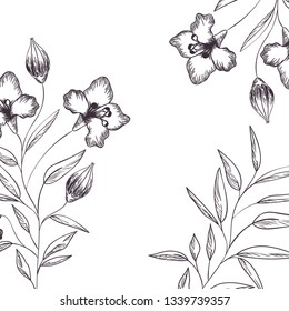 pattern plants and herbs isolated icon