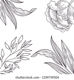 pattern plants and herbs isolated icon