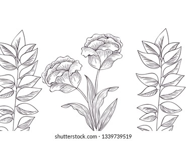 pattern plants and herbs isolated icon