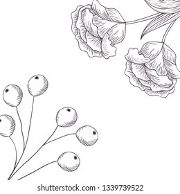 pattern plants and herbs isolated icon