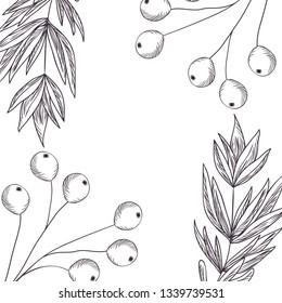 pattern plants and herbs isolated icon