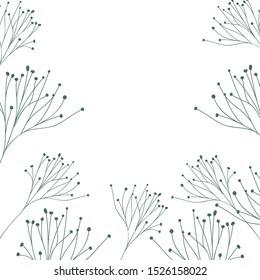 pattern plants and herbs isolated icon vector illustration desing
