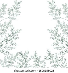 pattern plants and herbs isolated icon vector illustration desing