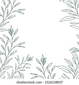 pattern plants and herbs isolated icon vector illustration desing