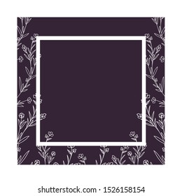 pattern plants and herbs isolated icon vector illustration desing
