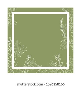 pattern plants and herbs isolated icon vector illustration desing