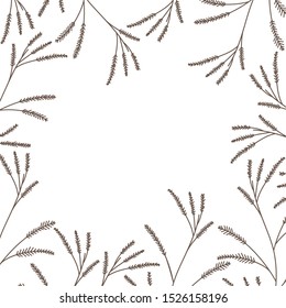 pattern plants and herbs isolated icon vector illustration desing