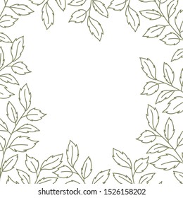 pattern plants and herbs isolated icon vector illustration desing