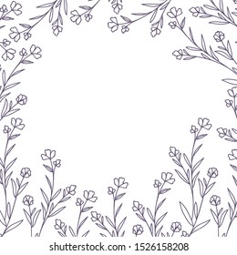 pattern plants and herbs isolated icon vector illustration desing