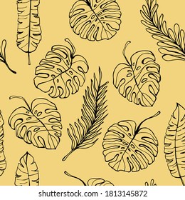 Pattern Plants Leaf from tropical forests and Monstera Deliciosa plants leaf  isolated on colored background. Can be used for greeting cards, flyers, invitations, web design, graphic design