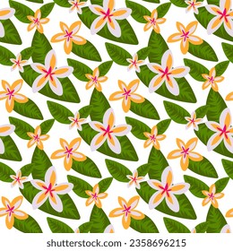 Pattern with plumeria flowers in yellow and white flowers with tropical leaves. Botanical texture with flowers in the form of stars in large green leaves on a white background print on textiles, paper