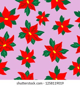 A pattern of poinsettia. Pink background with flowers of poinsettias. Good for packaging, postcards, textiles.Christmas.