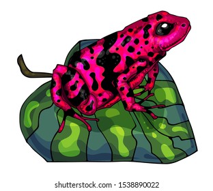 A pattern with poisonous frogs. Seamless pattern. Bright summer pattern. Drawing by hand. Lovely frogs of bright colors. multicolored pattern. Tropical frogs.