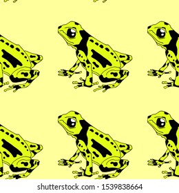 A pattern with poisonous frogs. Seamless pattern. Bright summer pattern. Drawing by hand. Lovely frogs of bright colors. multicolored pattern. Tropical frogs.