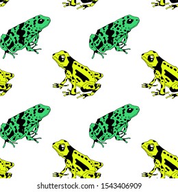 A pattern with poisonous frogs. Seamless pattern. Bright summer pattern. Drawing by hand. Lovely frogs of bright colors. multicolored pattern. Tropical frogs. White background