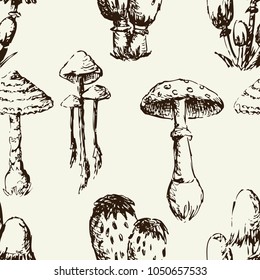 pattern of the poisonous mushrooms