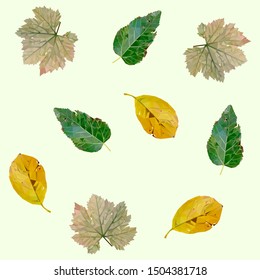 pattern with polygonal green and yellow leaf