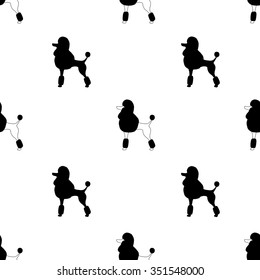 Pattern poodles on white background.
