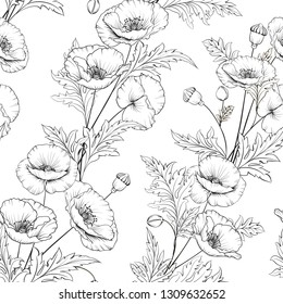 Pattern of poppy flowers on a white background. Vector illustration.