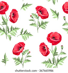 Pattern of poppy flowers on a white background. Vector illustration.