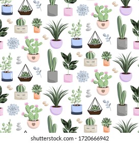 
pattern of potted flowers with cacti and succulents