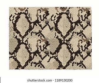  patrón de impresión vectorial de impresión animal textura de patrón de piel repitiendo vector monocromado sin fisuras. Serpiente de textura. Impresión de moda. Moda y fondo elegantePiel de Piton, leopardo de serpientes