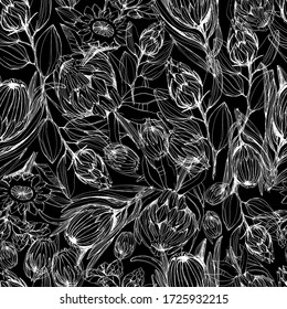 Patrón con flor de protea. gráficos manuales. Diseño floral con flores secas, flor de protea africana. Papel pintado, textil, decoración casera, empaque. gráficos de stock. aislar