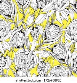 Patrón con flor de protea. gráficos manuales. Diseño floral con flores secas, flor de protea africana. Papel pintado, textil, decoración casera, empaque. gráficos de stock. aislar