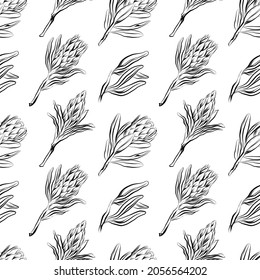Pattern with Protea flowers. Black outline of flowers on a transparent background. Vector EPS 10.