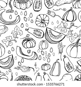 pattern with pumpkins in different angles, pumpkin seeds, pumpkin flowers. hand-drawn ink drawing. Botanical autumn flower, autumn vegetable, halloween. Picture for textile, decor and wallpaper design