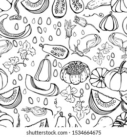 pattern with pumpkins in different angles, pumpkin seeds, pumpkin flowers. hand-drawn ink drawing. Botanical autumn flower, autumn vegetable, halloween. Picture for textile, decor and wallpaper design