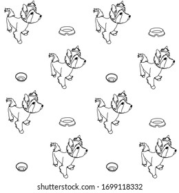Pattern of puppies of the Yorkshire Terrier and accessories for them