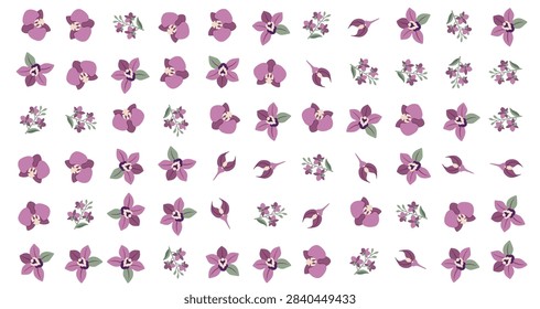 pattern with purple orchid flowers and buds on white background vector graphic illustration