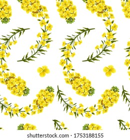 Pattern rape flowers, canola. Brassica napus. Seamless vector background.