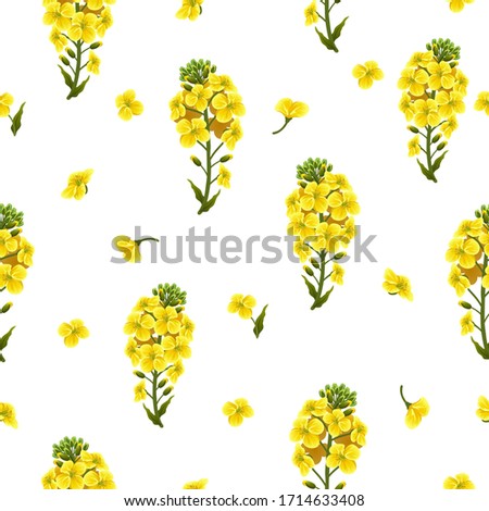 Similar – Image, Stock Photo Yellow rape flower as detail with green background