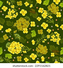 Pattern rape flowers and seeds, canola. Brassica napus. Seamless vector background.