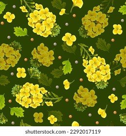 Pattern rape flowers and seeds, canola. Brassica napus. Seamless vector background.