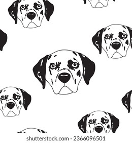 Muster, Berichterstatter, dalmatinischer Hund, Kopf des dalmatinischen Hundes, weiß mit schwarzen Flecken, weißer Hintergrund